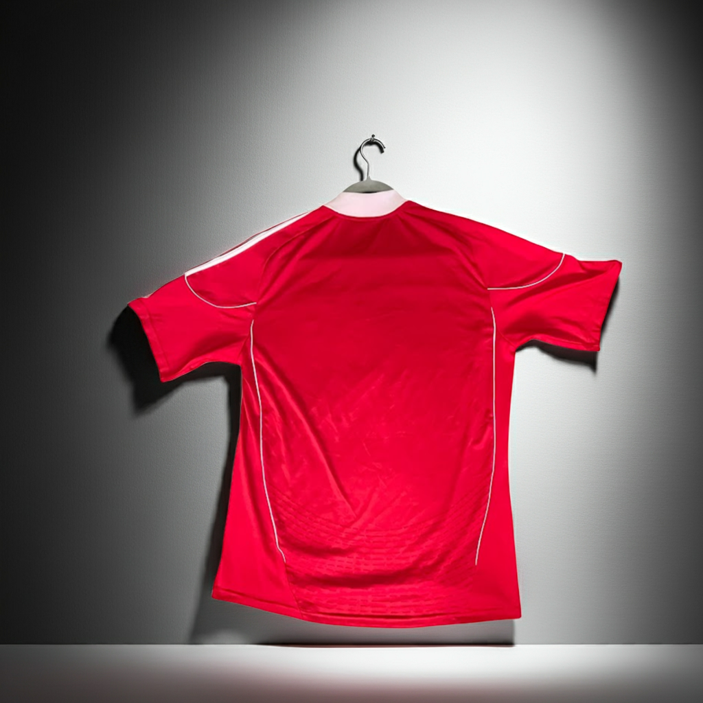 Wisła Kraków Season	2010-2011 HOME