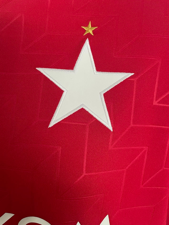 WISLA KRAKOW 2024-25 home shirt