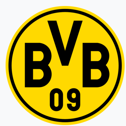 Borussia Dortmund Limited Edition  Neon Shirt 2020 – 2021