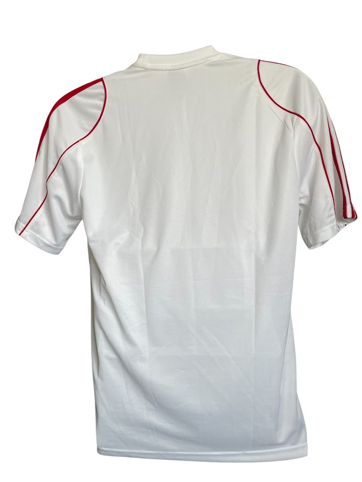 WISLA KRAKOW 2011 /20012