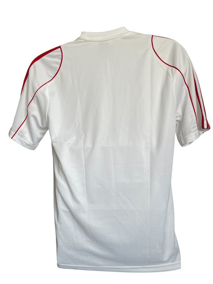 WISLA KRAKOW 2011 /20012